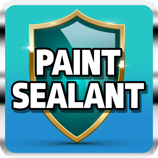 Paint Sealant